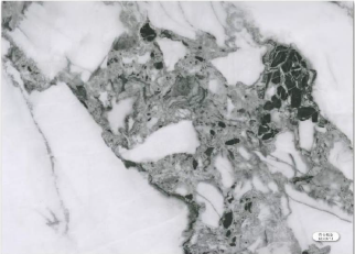 Multy options of colors PVC sheet marble finished 8 ft by 4 ft